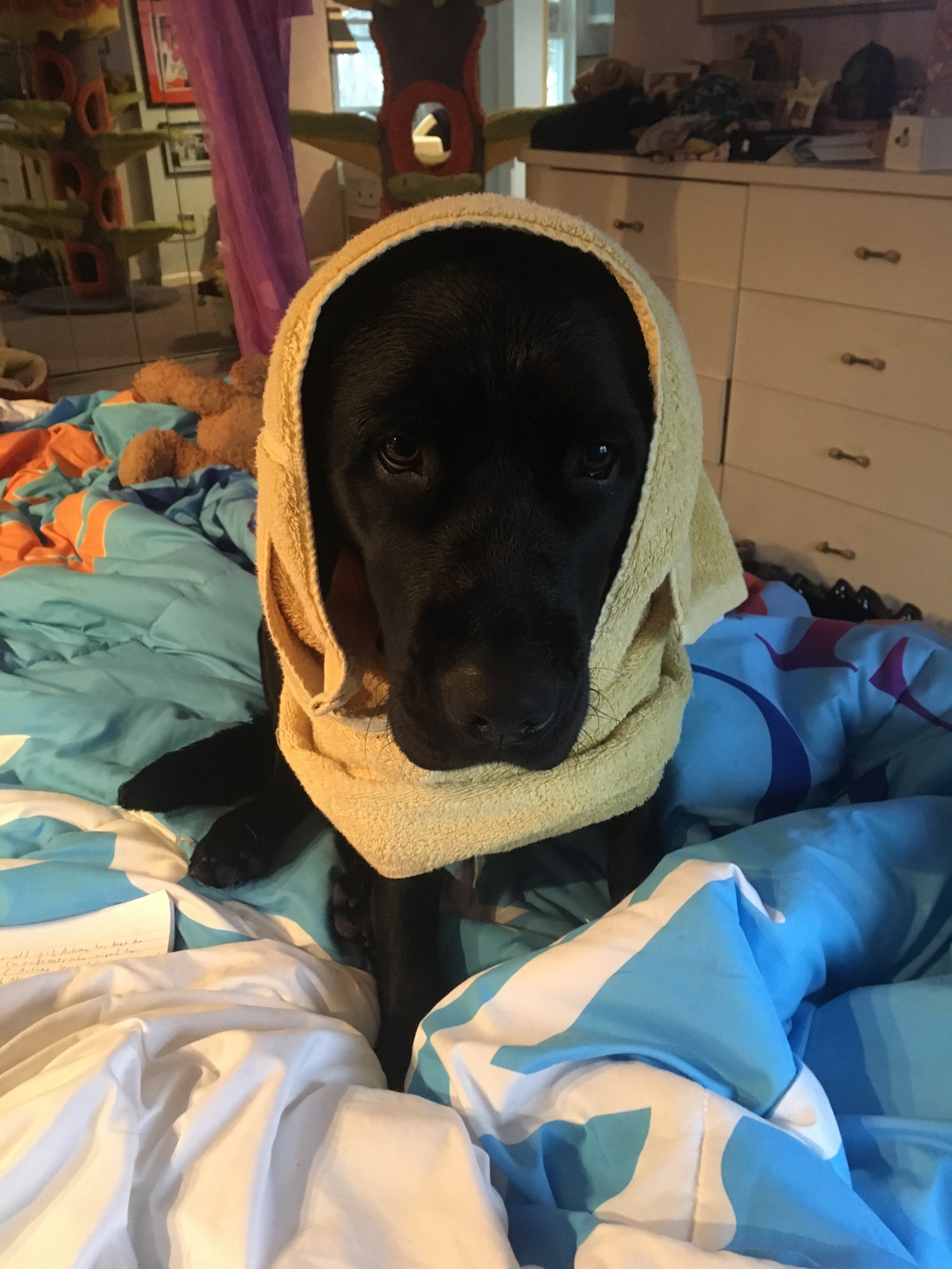 A picture of Barrett with his head swaddled in a yellow towel as he dries off from playing in the snow 